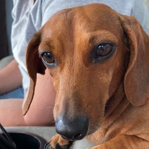 Meet your Posher, Jessy